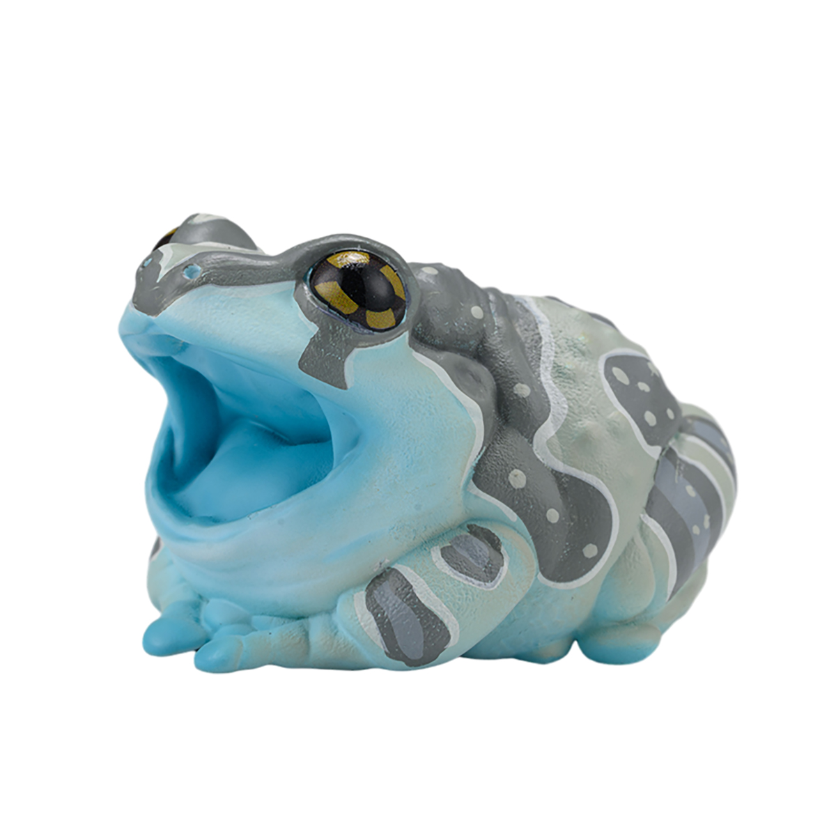 AHB Series 20 / Trachycephalus resinifictrix - Amazon Milk Frog / Frog