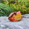 AHB Series 20 / Dyscophus - Tomato Frogs / Frog