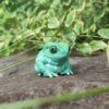 AHB-FROG-V20-06_05-1358959e AHB Series 20 - Waxy Monkey Tree Frog – Phyllomedusa sauvagii | Frog