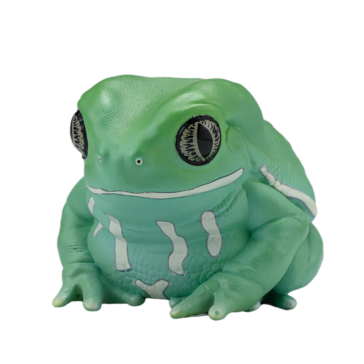 AHB Series 20 / Phyllomedusa sauvagii - Waxy Monkey Tree Frog / Frog