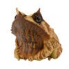 AHB Series 20 / Megophrys nasuta - Long-nosed Horned Frog / Frog