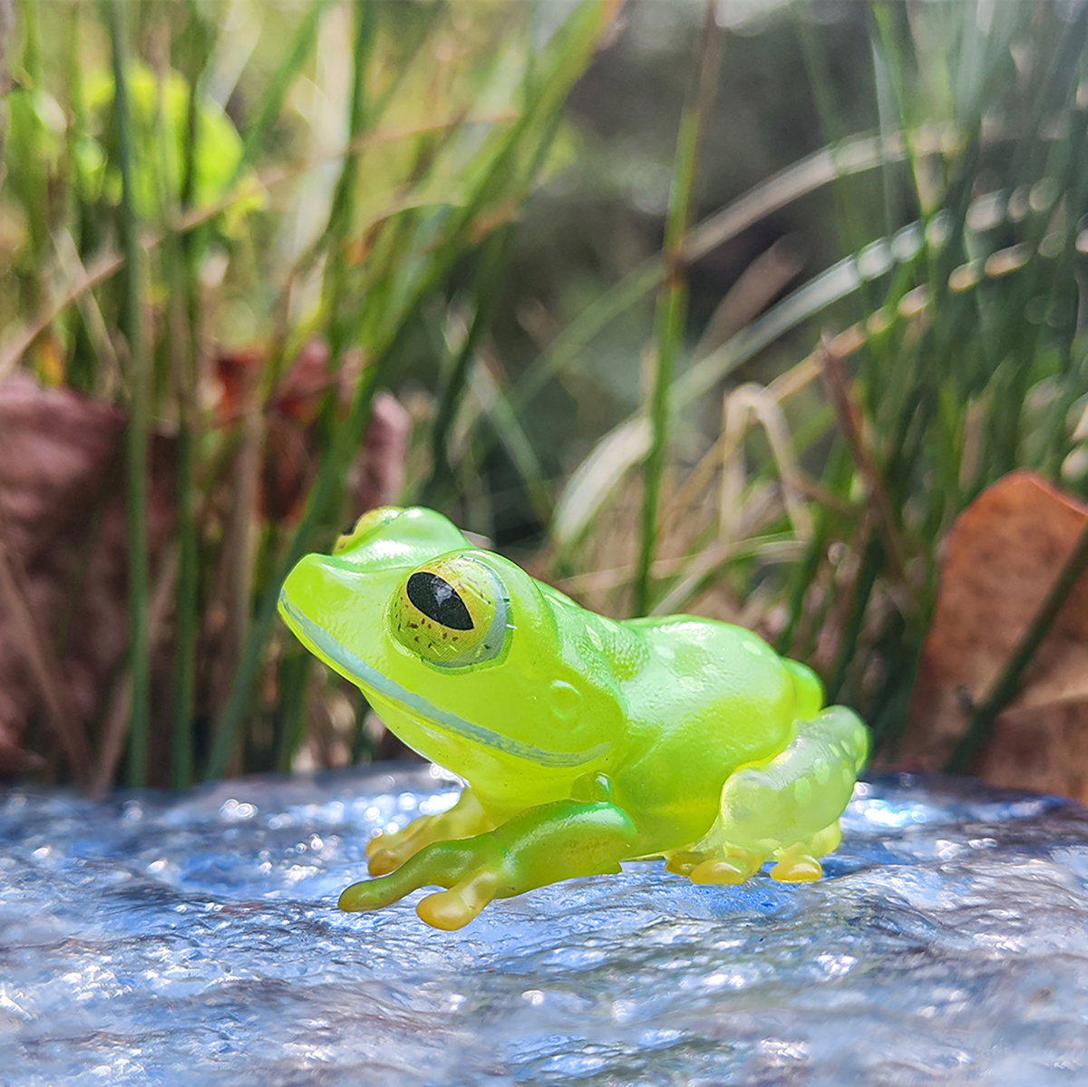 AHB Series 20 / Centrolenella valerioi Dunn - Valerio’s Glass Frog / Frog
