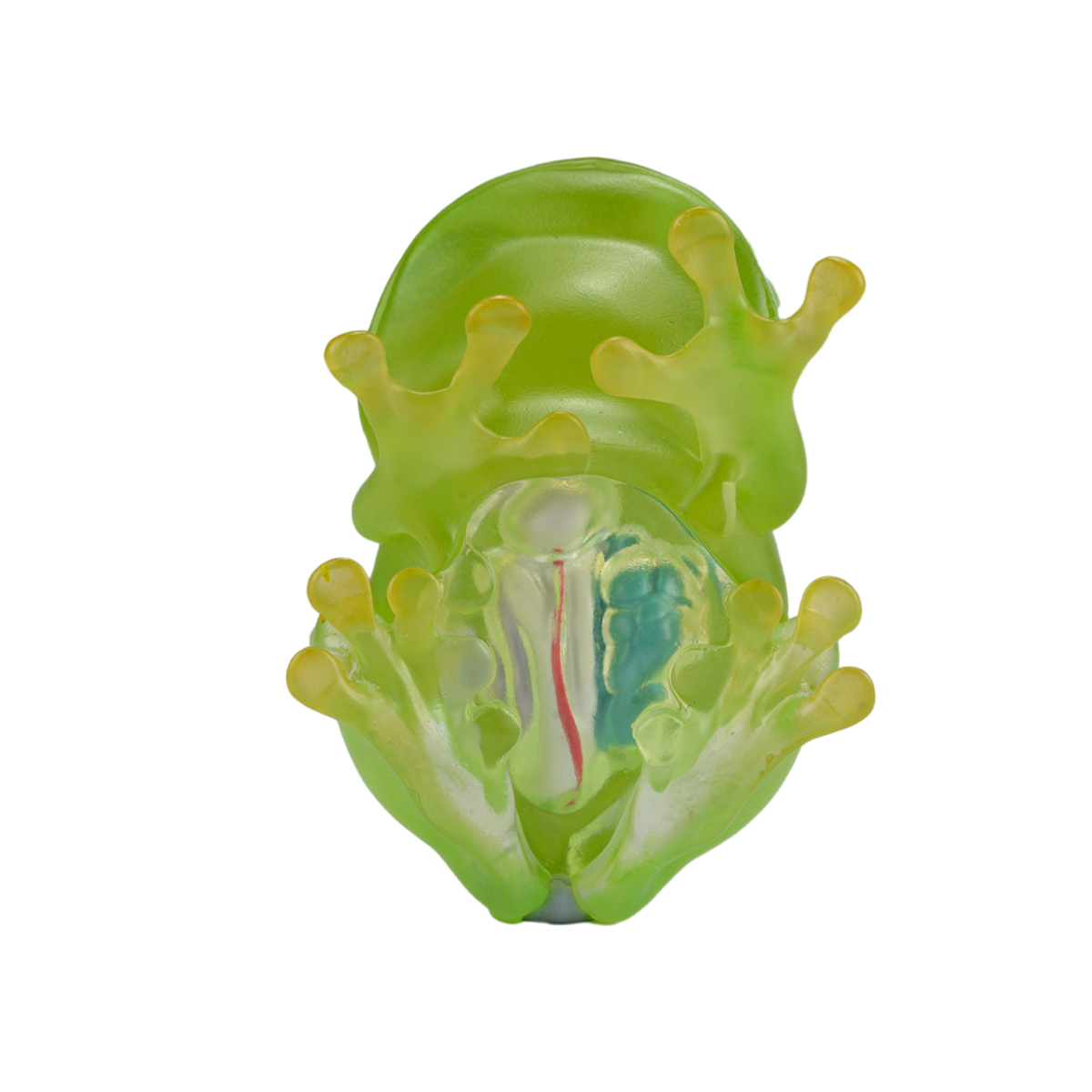 AHB Series 20 / Centrolenella valerioi Dunn - Valerio’s Glass Frog / Frog