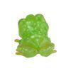 AHB Series 20 / Centrolenella valerioi Dunn - Valerio’s Glass Frog / Frog