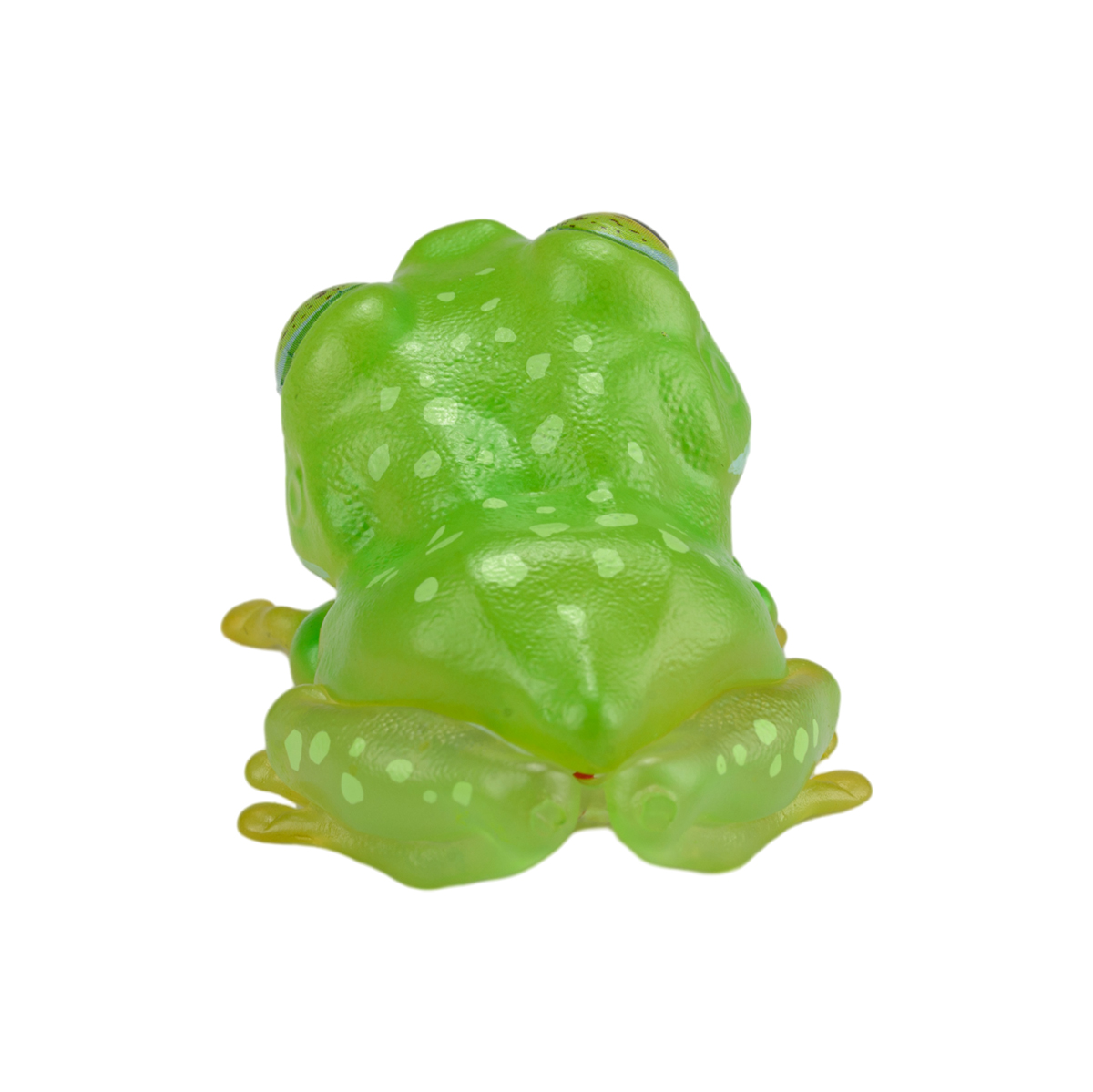 AHB Series 20 / Centrolenella valerioi Dunn - Valerio’s Glass Frog / Frog