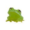 AHB Series 20 / Centrolenella valerioi Dunn - Valerio’s Glass Frog / Frog