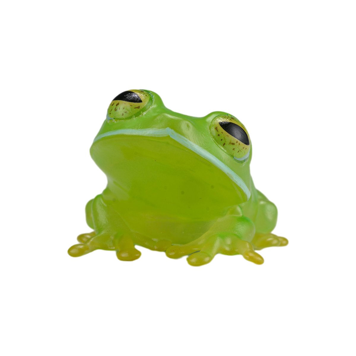 AHB Series 20 / Centrolenella valerioi Dunn - Valerio’s Glass Frog / Frog