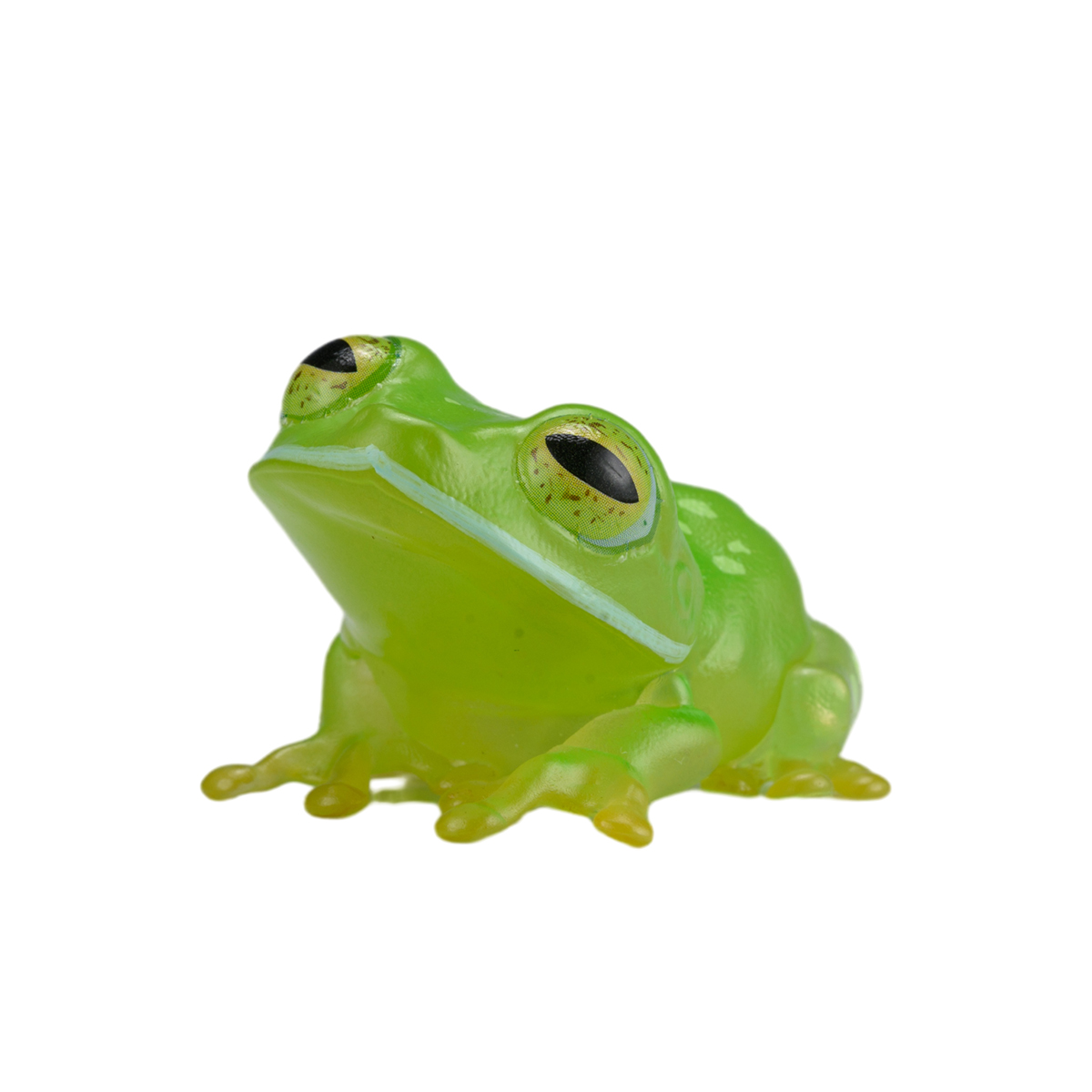 AHB Series 20 / Centrolenella valerioi Dunn - Valerio’s Glass Frog / Frog