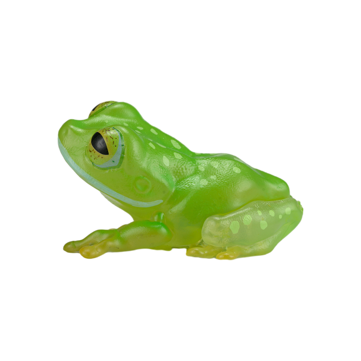 AHB Series 20 / Centrolenella valerioi Dunn - Valerio’s Glass Frog / Frog