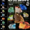 AHB Series 20 / Megophrys nasuta - Long-nosed Horned Frog / Frog