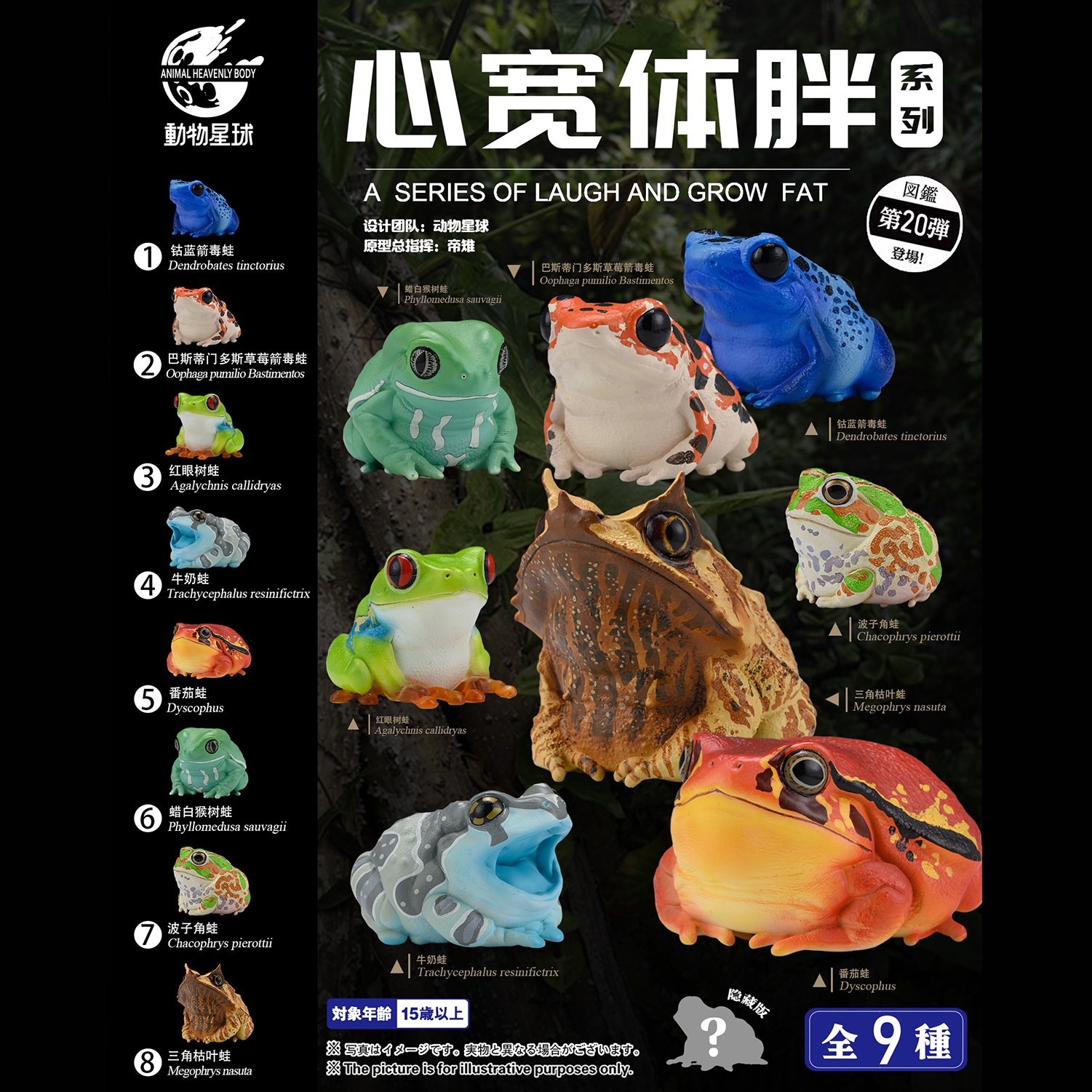 AHB-FROG-V20-Poster-dafbc647 AHB Series 20 - Waxy Monkey Tree Frog – Phyllomedusa sauvagii | Frog