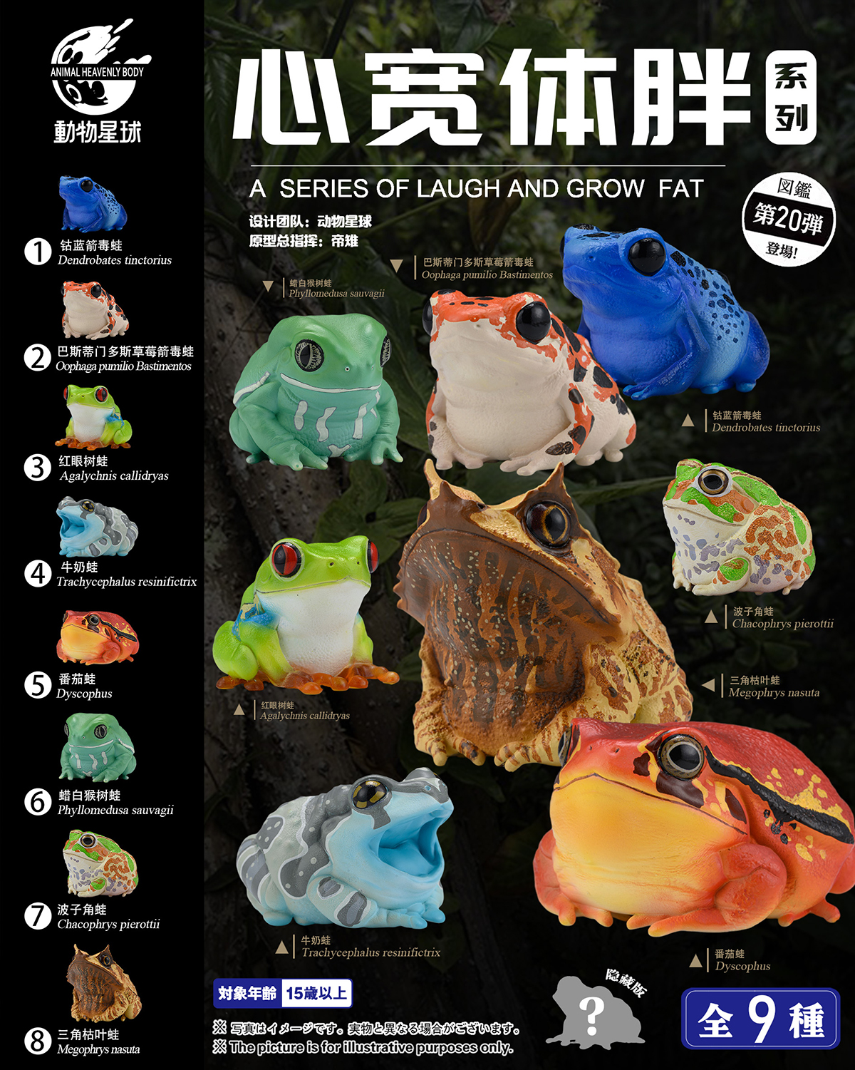 AHB Series 20 / Megophrys nasuta - Long-nosed Horned Frog / Frog
