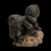AHB Series 11 / Lycosa - wolf spider / Insect