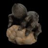 AHB Series 11 / Lycosa - wolf spider / Insect