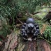 AHB Series 11 / Lycosa - wolf spider / Insect