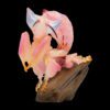 AHB Series 11 / Hymenopus coronatus - Orchid mantis / Insect
