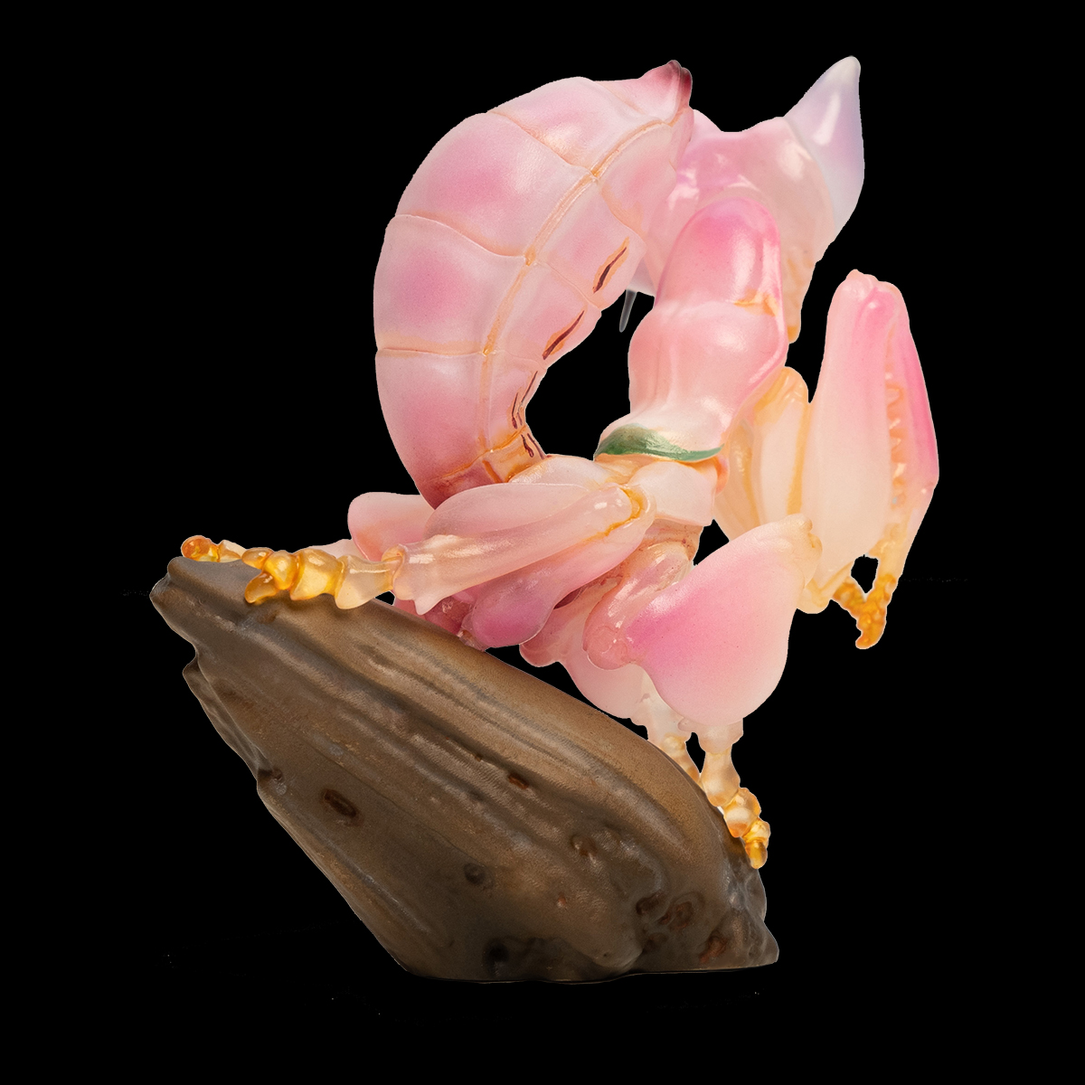 AHB Series 11 / Hymenopus coronatus - Orchid mantis / Insect