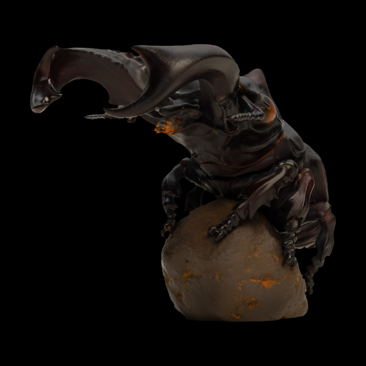 AHB Series 11 / Hexarthrius parryi - Parry’s stag beetle / Insect