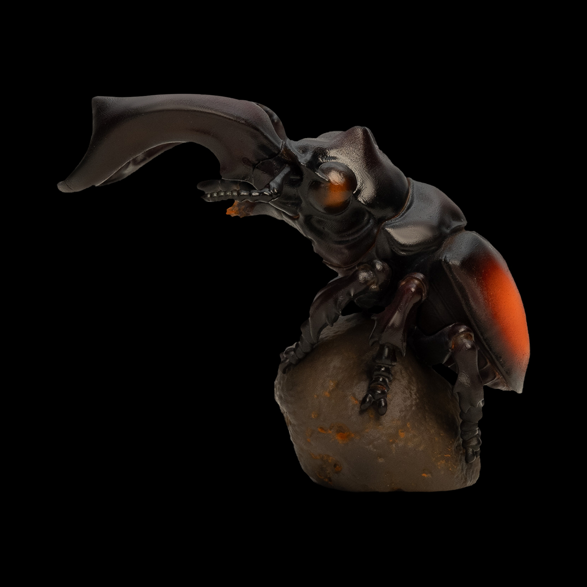AHB Series 11 / Hexarthrius parryi - Parry’s stag beetle / Insect