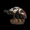 AHB Series 11 / Goliathus goliatus - Goliath beetle / Insect