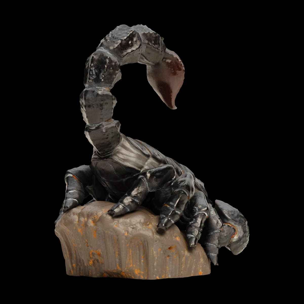 AHB Series 11 / Pandinus imperator - Emperor Scorpion / Insect