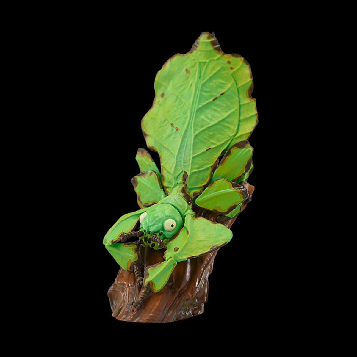 AHB Series 17 / Phyllium giganteum - Giant Leaf Insect / Insect