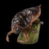 AHB Series 17 / Lethocerus deyrollei - Giant Water Bug / Insect