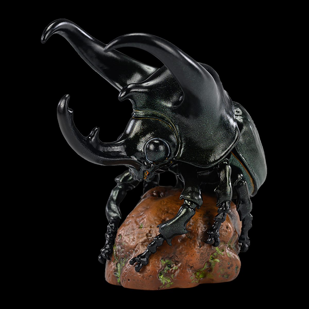 AHB Series 17 / Chalcosoma chiron - Three-horned Rhino Beetle / Insect