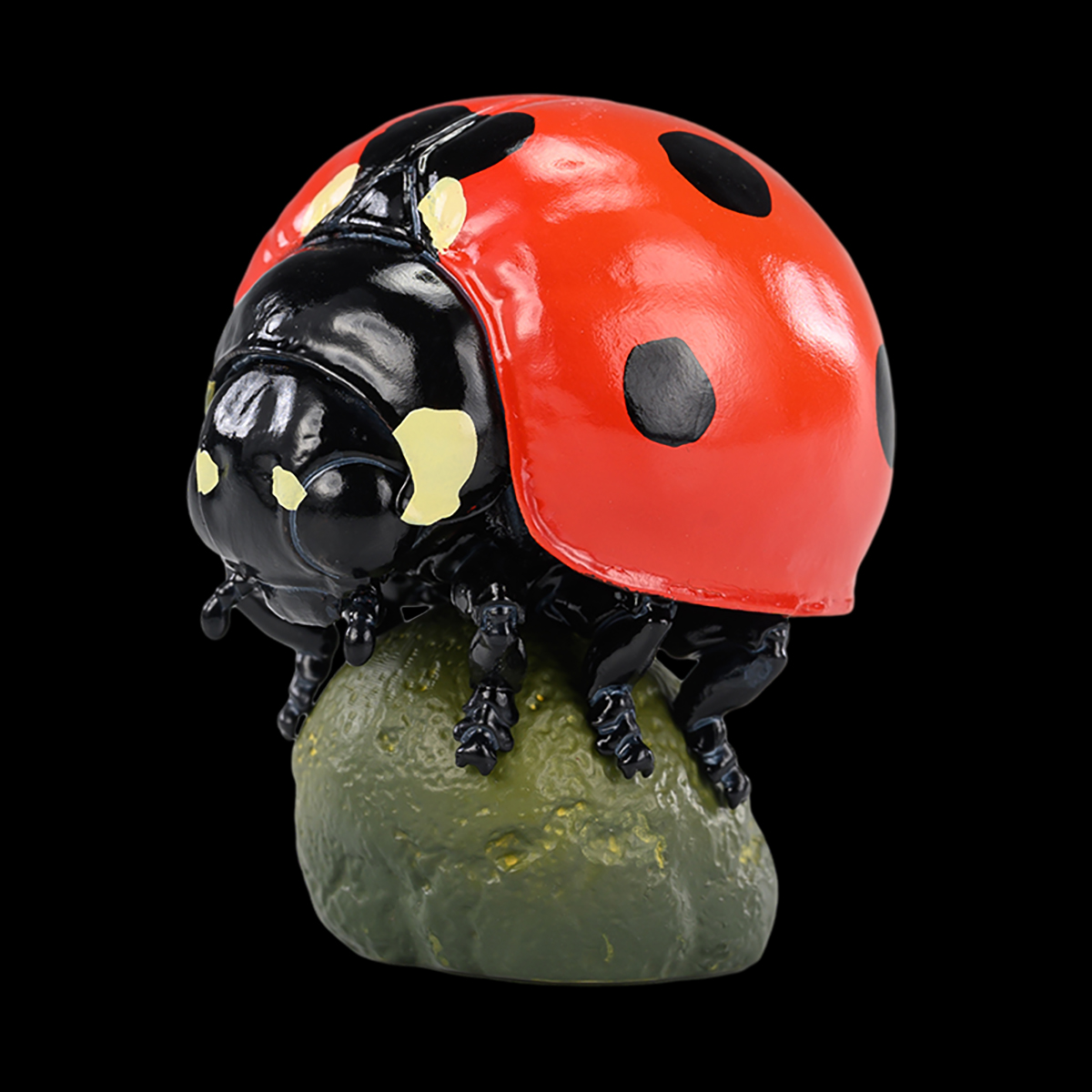 AHB Series 17 / Coccinella septempunctata - Seven-Spot Ladybug / Insect