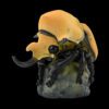 AHB Series 17 / Megasoma elephas - Elephant Beetle / Insect