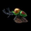 AHB Series 17 / Phalacrognathus mulleri - Rainbow Stag Beetle / Insect