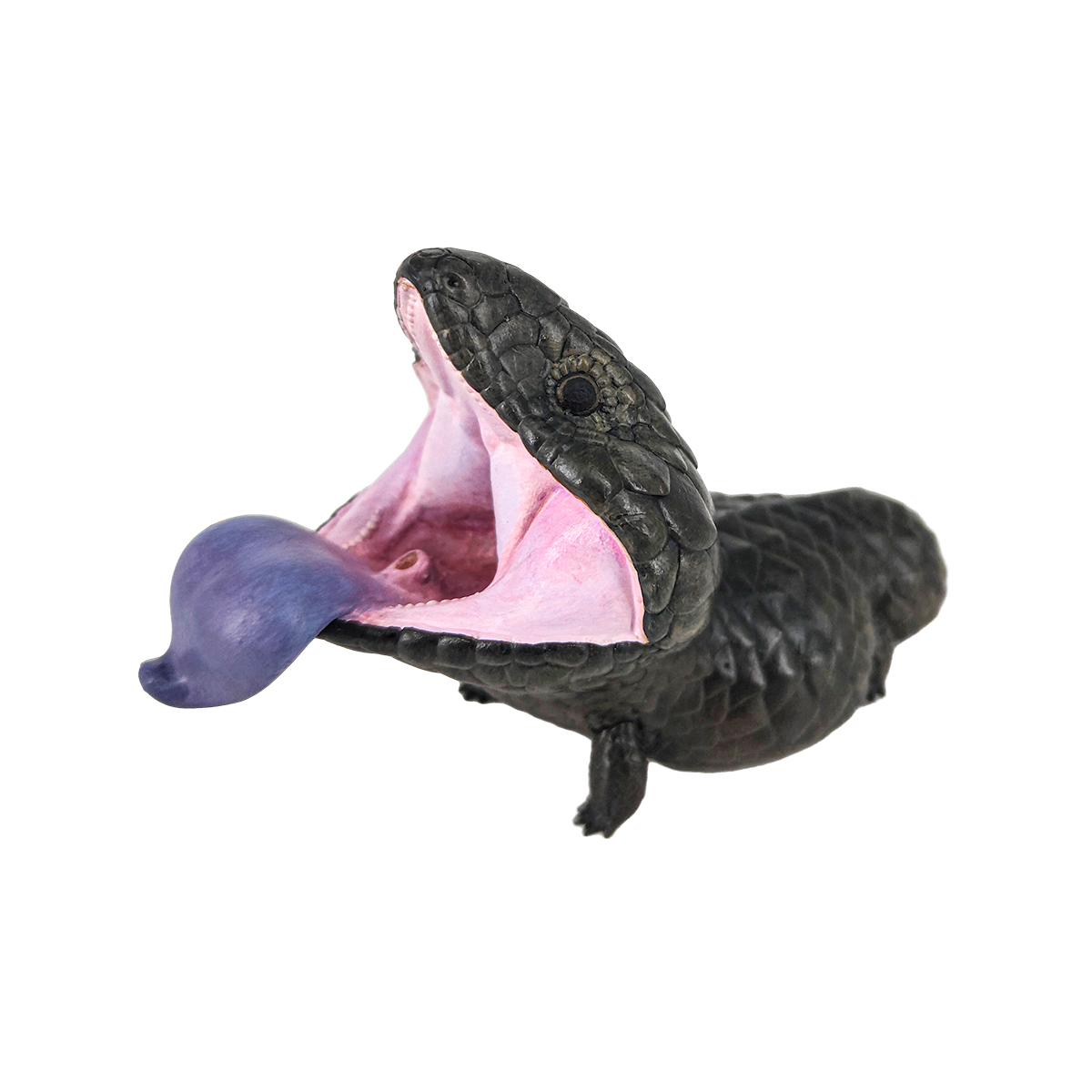 AHB Series 16 / Tiliqua rugosa aspera – Melanistic - Shingleback Skink / Lizard