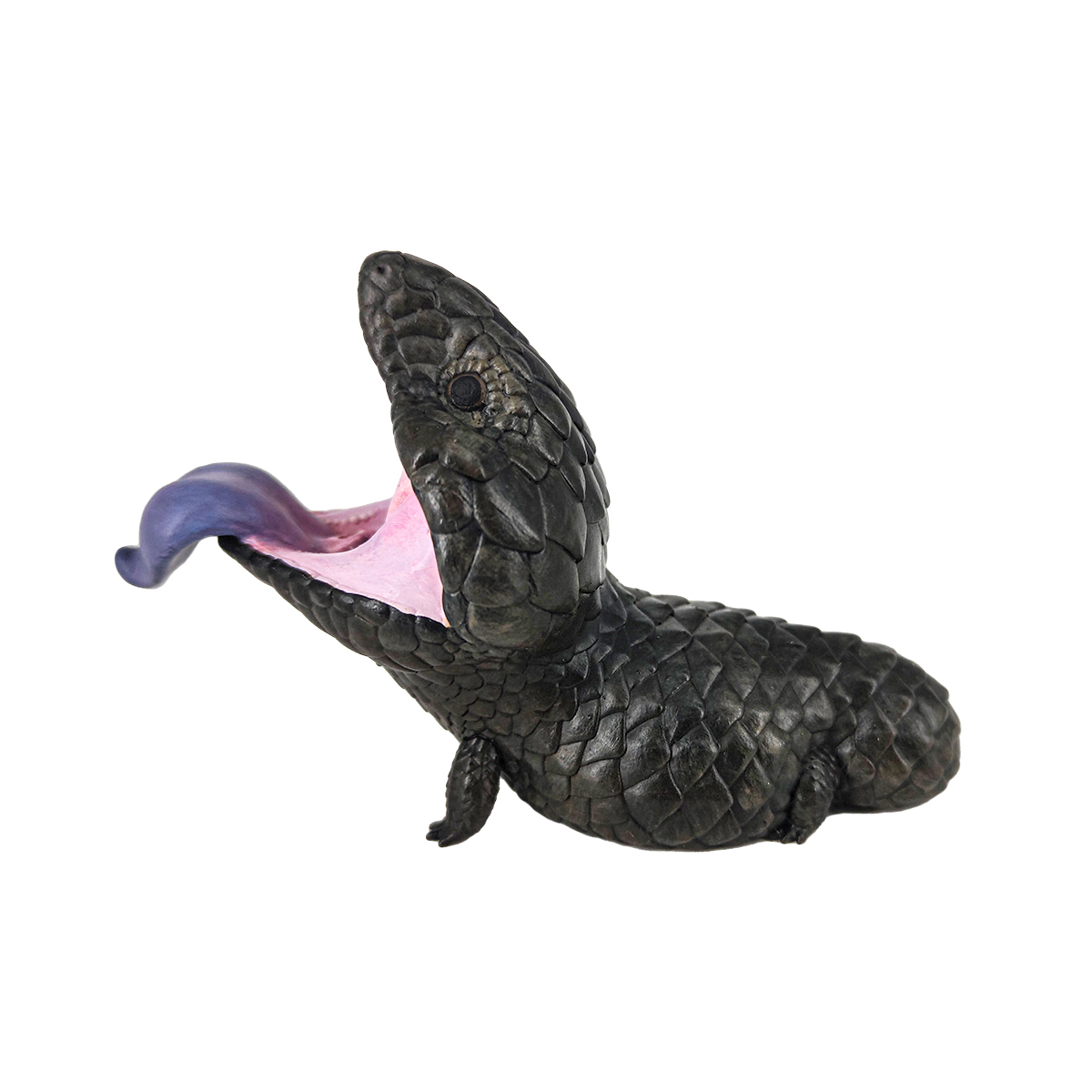 AHB Series 16 / Tiliqua rugosa aspera – Melanistic - Shingleback Skink / Lizard
