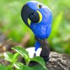 AHB Series 18 / Anodorhynchus hyacinthinus - Hyacinth Macaw / Parrot / Bird