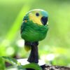 AHB Series 18 / Amazona aestiva - Blue-Fronted Amazon Parrot / Bird