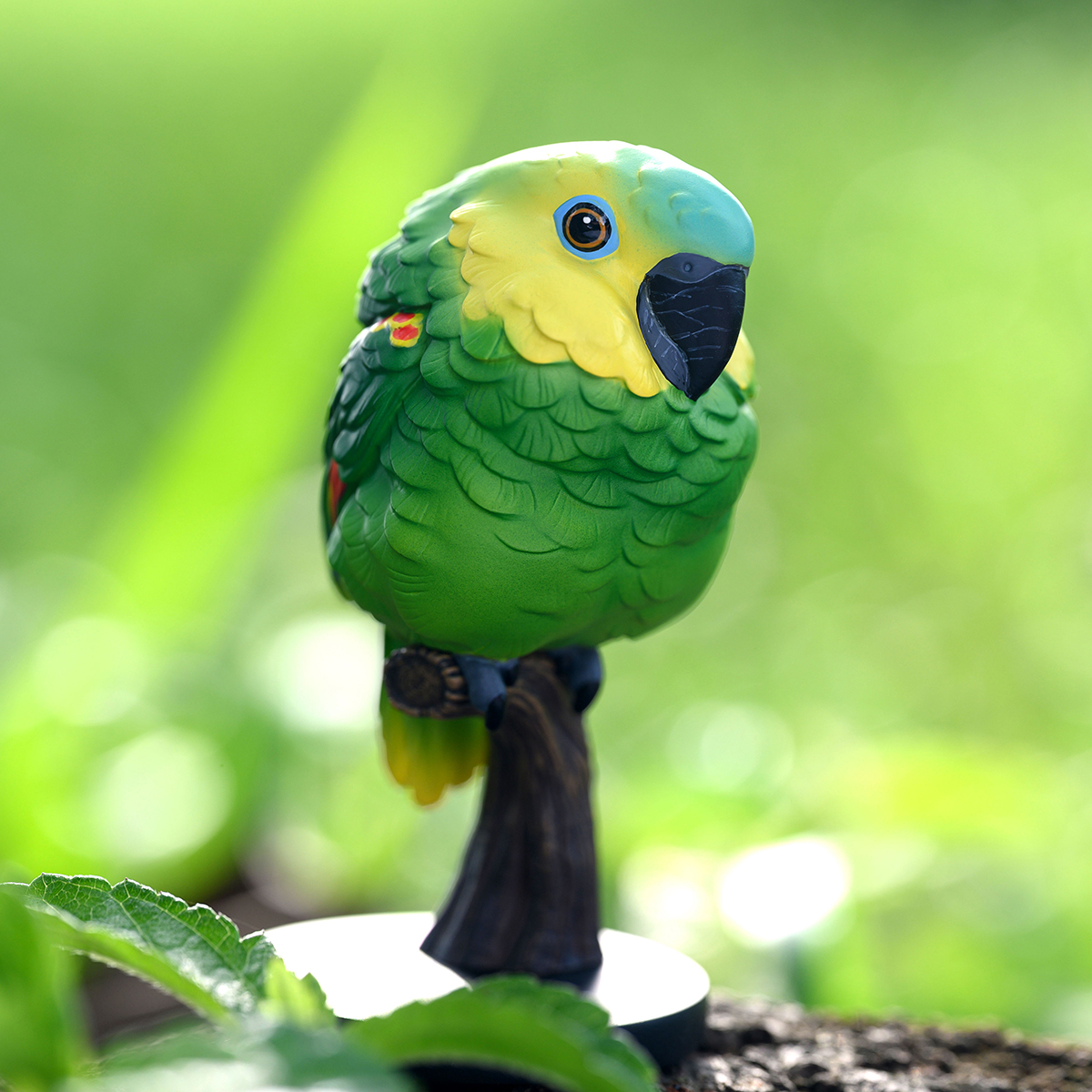 AHB Series 18 / Amazona aestiva - Blue-Fronted Amazon Parrot / Bird