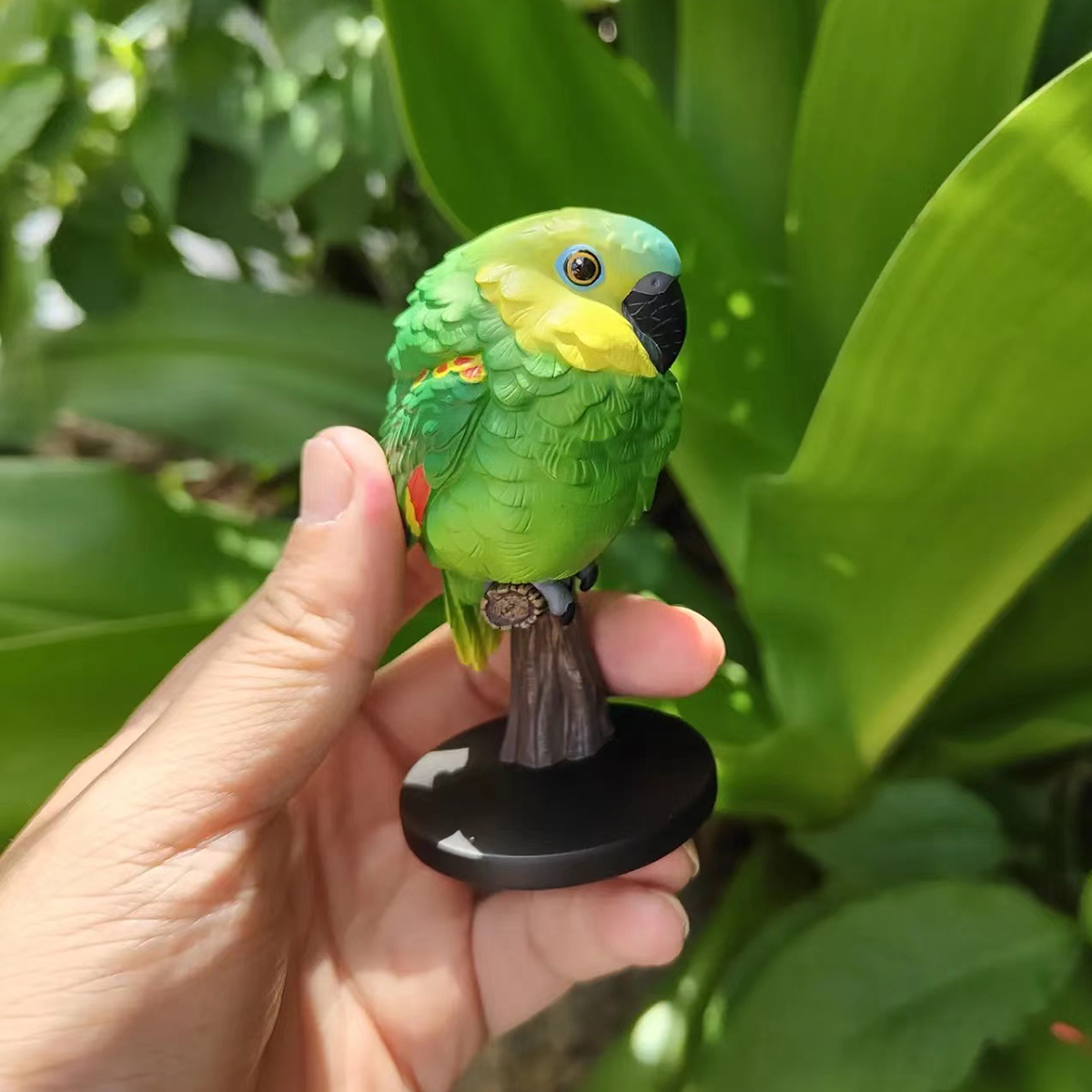 AHB Series 18 / Amazona aestiva - Blue-Fronted Amazon Parrot / Bird