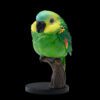 AHB Series 18 / Amazona aestiva - Blue-Fronted Amazon Parrot / Bird