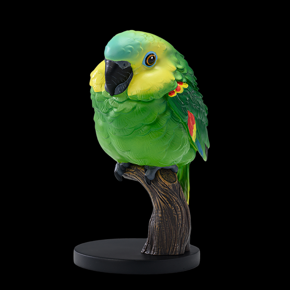 AHB Series 18 / Amazona aestiva - Blue-Fronted Amazon Parrot / Bird