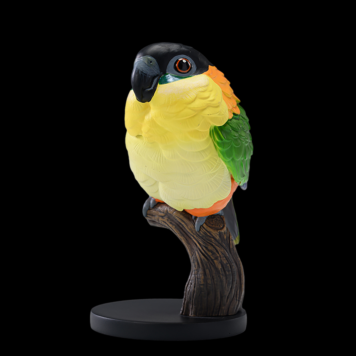 AHB Series 18 / Pionites melanocephalus - Black-headed Caique / Parrot / Bird