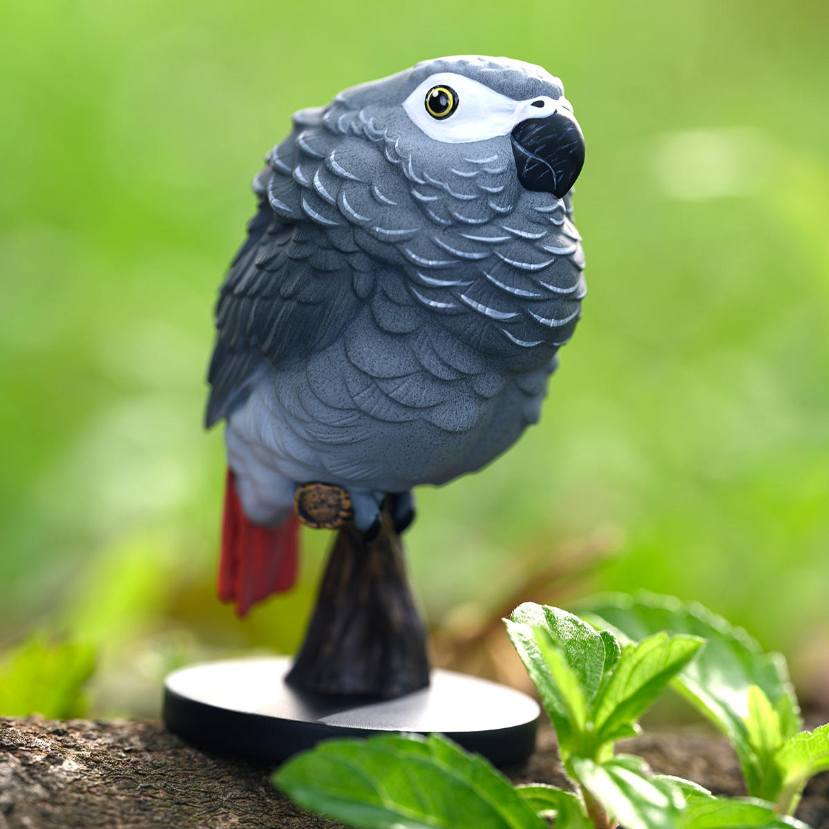 AHB Series 18 / Psittacus erithacus - African Grey Parrot / Bird