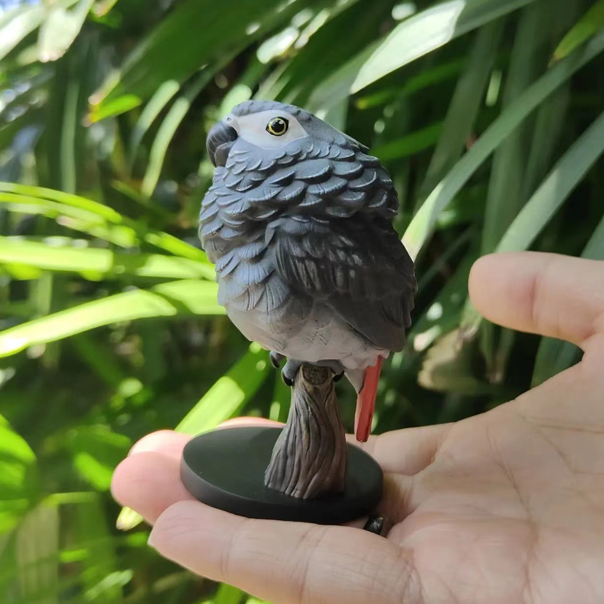 AHB Series 18 / Psittacus erithacus - African Grey Parrot / Bird