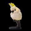 AHB Series 18 / Cacatua galerita - Sulphur-crested Cockatoo / Parrot / Bird