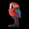 AHB Series 18 / Ara chloropterus - Red-and-green Macaw / Parrot / Bird