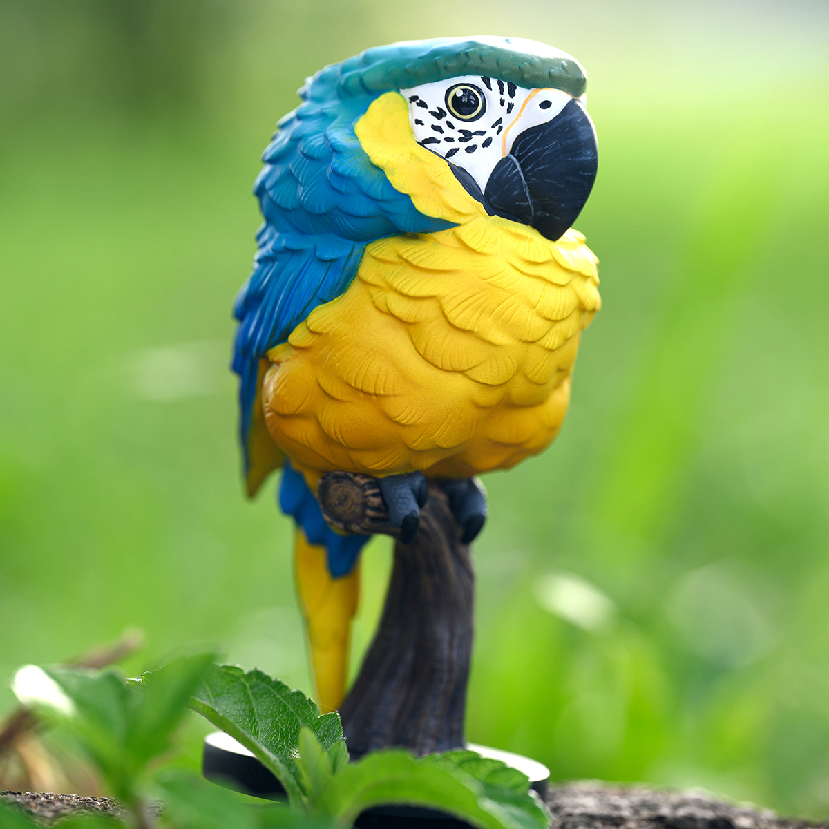 AHB Series 18 / Ara ararauna - Blue-and-yellow Macaw / Parrot / Bird