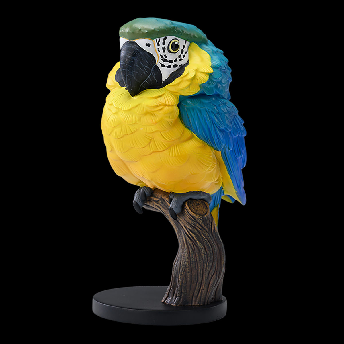AHB Series 18 / Ara ararauna - Blue-and-yellow Macaw / Parrot / Bird