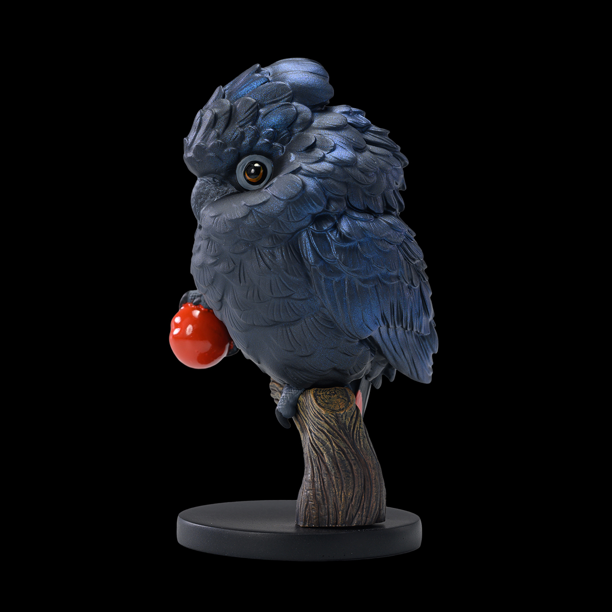 AHB Series 18 / Calyptorhynchus banksii - Red-tailed Black Cockatoo / Parrot / Bird