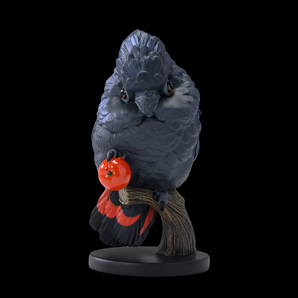 AHB Series 18 / Calyptorhynchus banksii - Red-tailed Black Cockatoo / Parrot / Bird