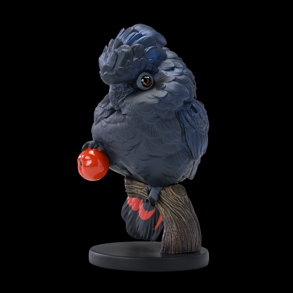 AHB Series 18 / Calyptorhynchus banksii - Red-tailed Black Cockatoo / Parrot / Bird