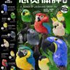 AHB Series 18 / Anodorhynchus hyacinthinus - Hyacinth Macaw / Parrot / Bird